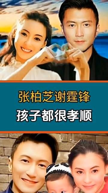 娱乐圈中,谢霆锋和张柏芝的三个孩子都非常孝顺