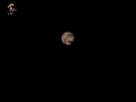 掌心真的不是单纯的一个古偶