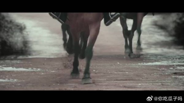 当谢危爱上张遮…