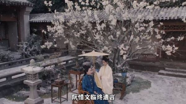 雁回时:惜文临终遗言,撕开庄家见不得人的大秘密,寒雁扳倒贵妃