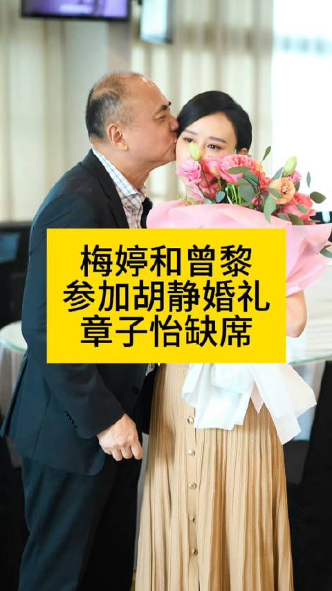 梅婷、曾黎同现！章子怡缺席胡静婚礼 ​