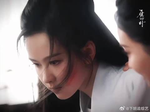 陈都灵挑战辛云来，小狼仔对决老谋深算的毒蛇