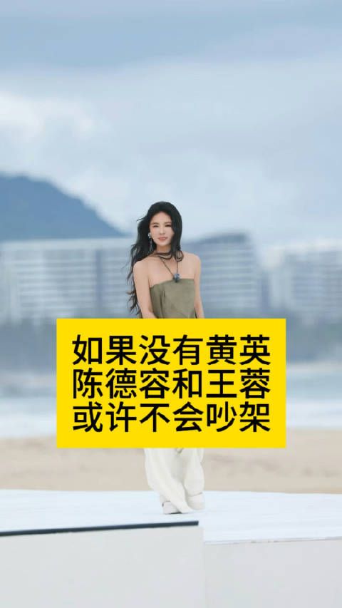 如果没有黄英,陈德容和王蓉或许不会吵架陈德容王蓉吵起来了