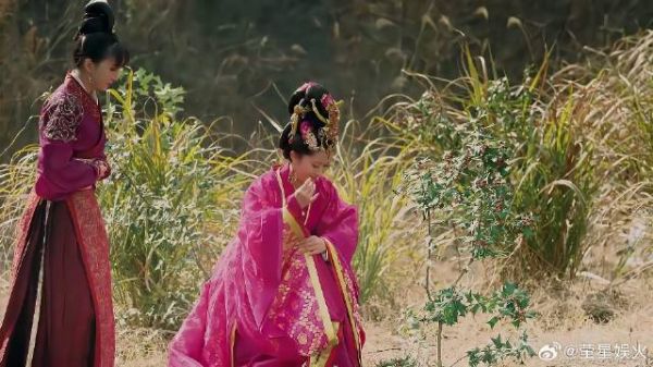 南后中毒过敏，芈月助人为乐