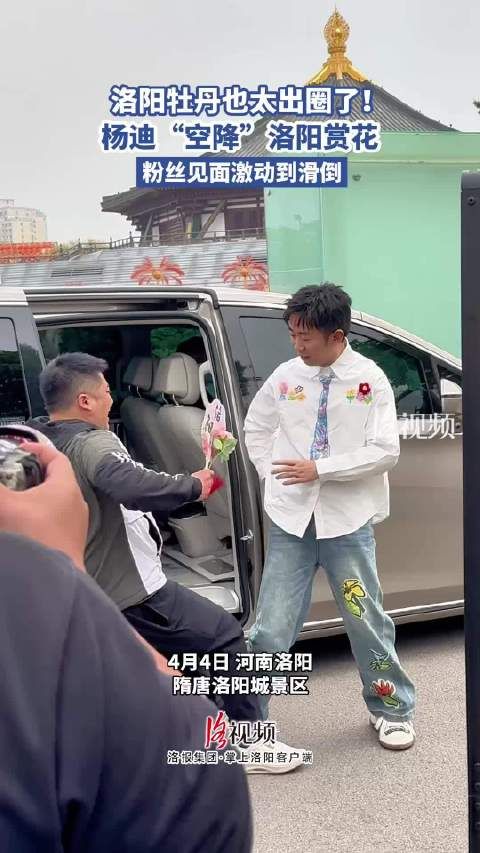 杨迪空降洛阳赏花