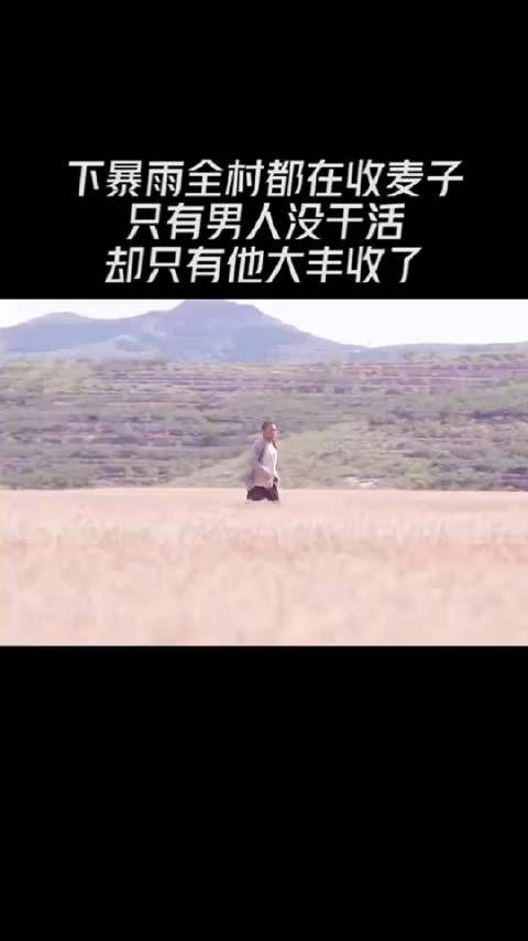 下暴雨全村都在收麦子,只有男人没干活,却只有他大丰收了