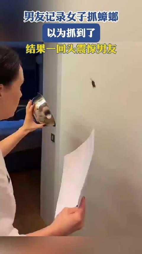 男友记录女子抓蟑螂,以为抓到了,结果一回头震惊男友0.0!