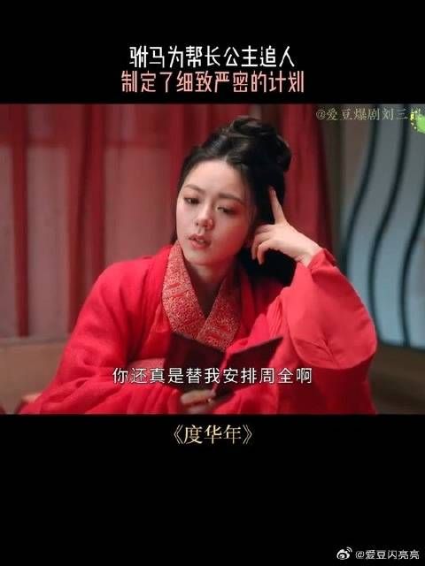驸马为帮长公主追人,制定了细致严密的计划