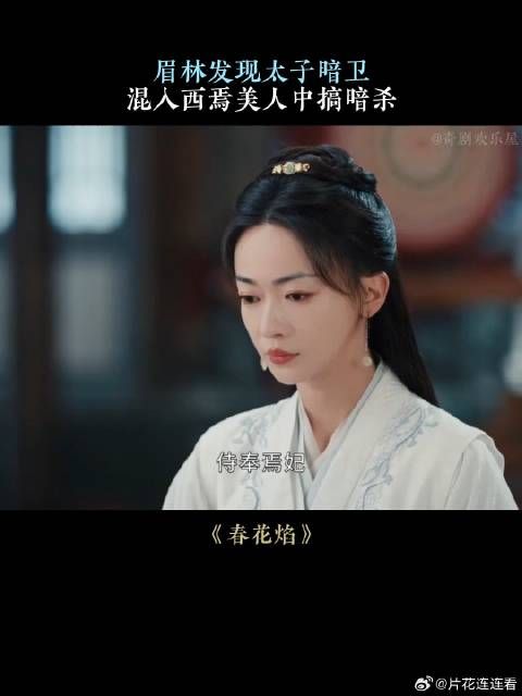 眉林发现太子暗卫，混入西焉美人中搞暗杀