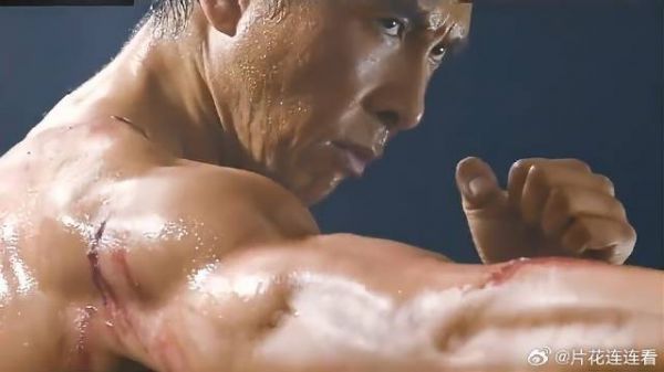 甄子丹的拳速有多快？镜头都看不清了，这段看着真过瘾