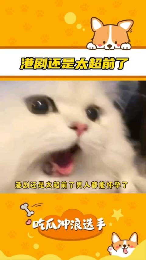 港剧《麻甩妈咪》