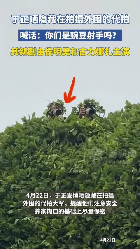 于正问外围代拍是豌豆射手吗 还提醒要注意安全