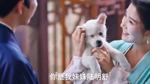 女主满门被害，昔日爱人为救她假装是兄妹 卢昱晓 王子奇