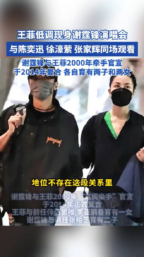 王菲低调现身谢霆锋演唱会，与陈奕迅等同场观看
