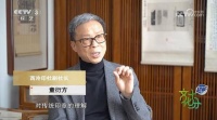 篆刻书法大师童衍方:金石为骨 笔墨传魂