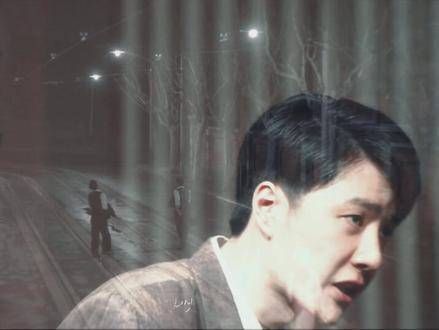 魏若来故事经历期待闪耀与遗憾