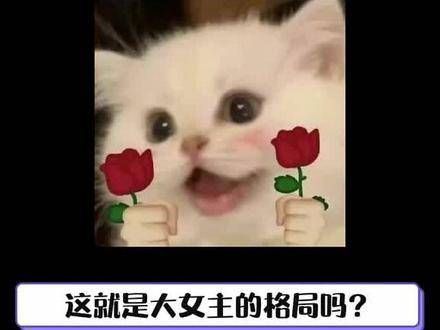 杨紫号召粉丝共同守护电视剧~ 紫妹的情商确实了得!