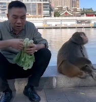 请杨议与侯耀华:把江湖还给艺术,把体面留给时间