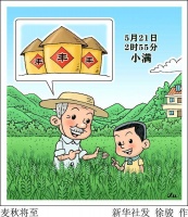 (图表·漫画)节令之美|麦秋将至