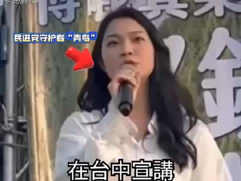 民进党罢团遭小学生开呛!最重要的是这些青鸟不知道自己为何被呛