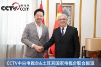 王云教授—国与国艺术交流的形象典范