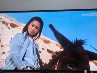 从英雄到悲情：《三国演义》后半段为何让人心碎又弃剧？
