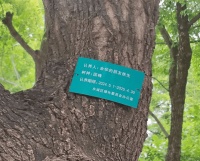 文化观察|“余华铁生”为何动人