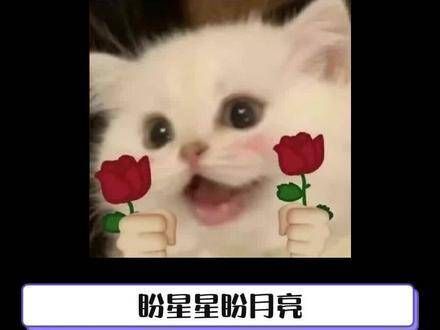 这简直是一场视觉的狂欢，终于等到了！