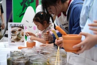 品特色美食、赏民俗展演 端午节成都端出“非遗大餐”