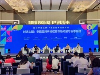 李子柒用四个词概括非遗十年:桥梁、盾牌、搭子、种子