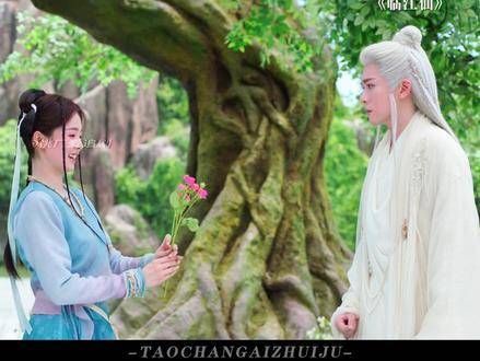 带你进入仙侠世界,感受女霸总对夫君的宠爱