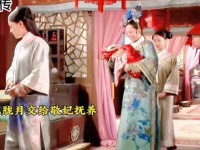 胧月才三天，甄嬛便已出宫，为了胧月竟也开始利用纯元？