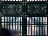 《藏海传》钟汉良演技获好评