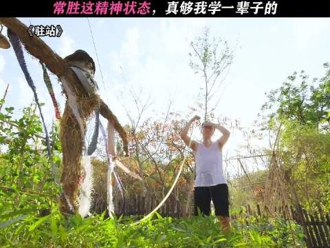 主打一种发疯却不内耗的状态