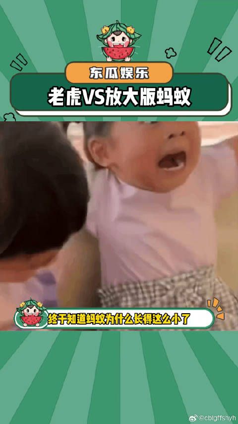 蚂蚁和老虎对比,这样一看老虎还挺好看的哈!老虎 娱乐评论大赏
