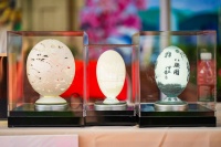 逛市集、赏非遗！长宁区文化和自然遗产日活动火热开启