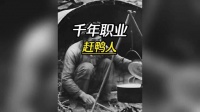 一种几乎消失的职业，赶鸭人