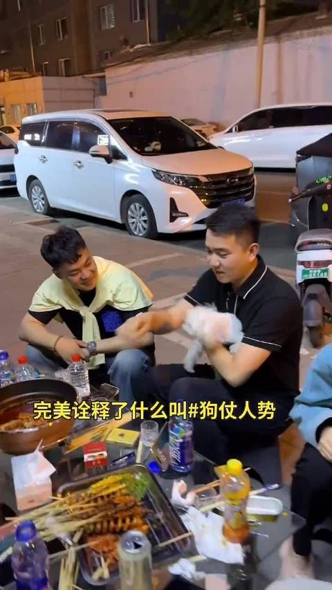 完美诠释了什么叫狗仗人势