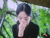 杨紫何赛飞精湛演技引观众共鸣