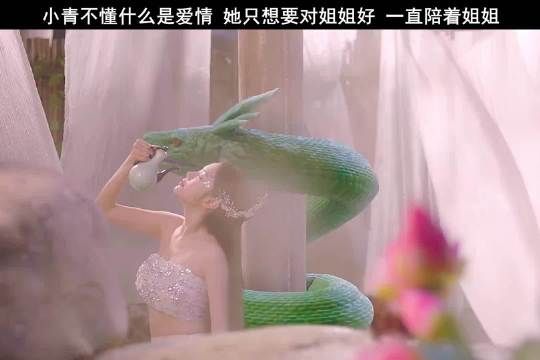 姐姐喜欢男人,小青就变成了男人模样,哪有什么痴心汉,有的只是姐妹深情!