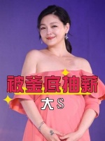 大S报销单反击未果反遭马筱梅釜底抽薪