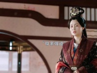 长公主霸气护弟扭转结局