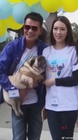 黄日华，在巅峰时为照顾生病的妻子退出娱乐圈