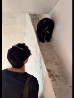 存下一首喜欢的歌