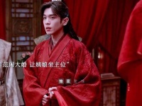 范闲成婚，早已将姨娘视为主母，这条情节真是轻松愉快，众人不再勾心斗角