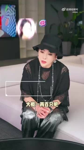 向太给孙子孙女买Labubu,给郭碧婷买了好几块地养宠物