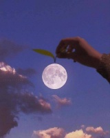 唐代诗人刘驾的十首诗词，马上续残梦，马嘶时复惊。