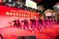 2025年武术“四进”暨海南省武术交流展示大会（海口站）盛大启幕