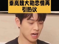 秦岚与魏大勋的绯闻再次掀起热议