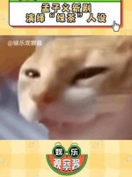 孟姐又踏入全新的领域啦！真的是可爱爆棚因为一个片段看了整部剧